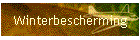 Winterbescherming