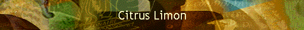 Citrus Limon