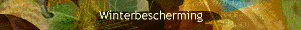 Winterbescherming